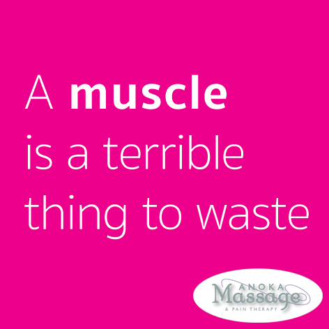 muscle is a terrible thing to waste