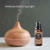 Anxiety Ease Essential Oil Blend - Image 2