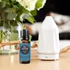 Best Sleep Ever Essential Oil Blend - Image 2